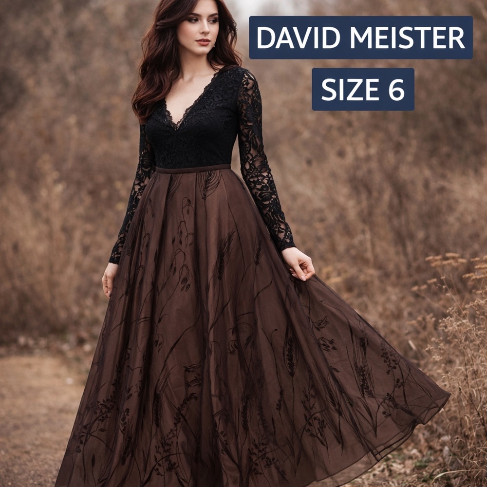 David Meister Size 6 Sheer Embroidered Maxi Skirt sheer Formal whimsygoth vtg